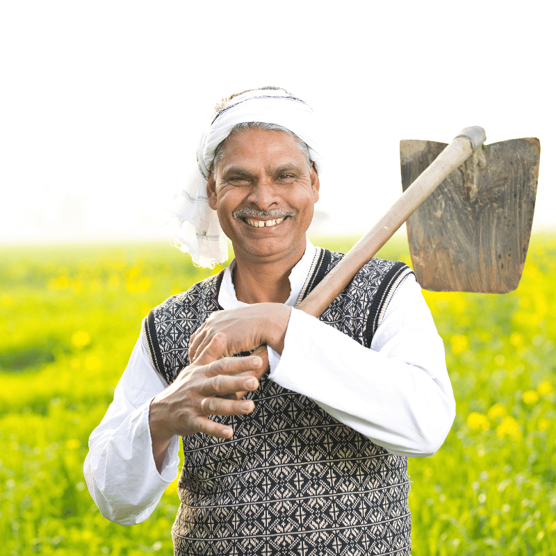 Image not Found